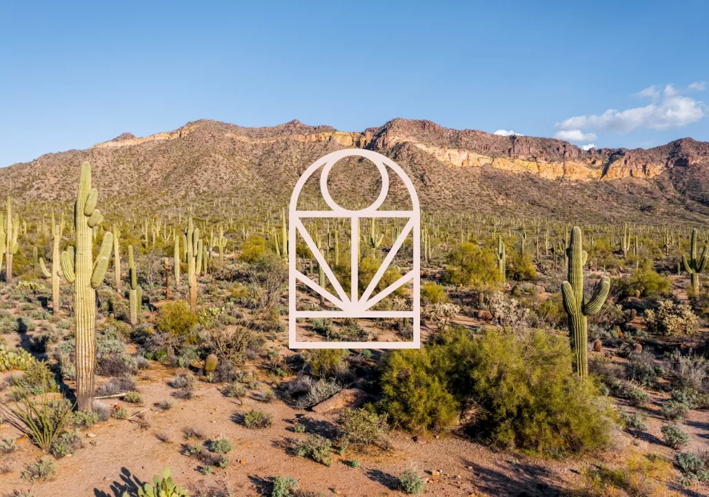 Cactus field with mountain. Logo overlay.